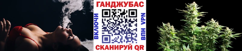 как найти наркотики  Михайловка  Канабис сатива 